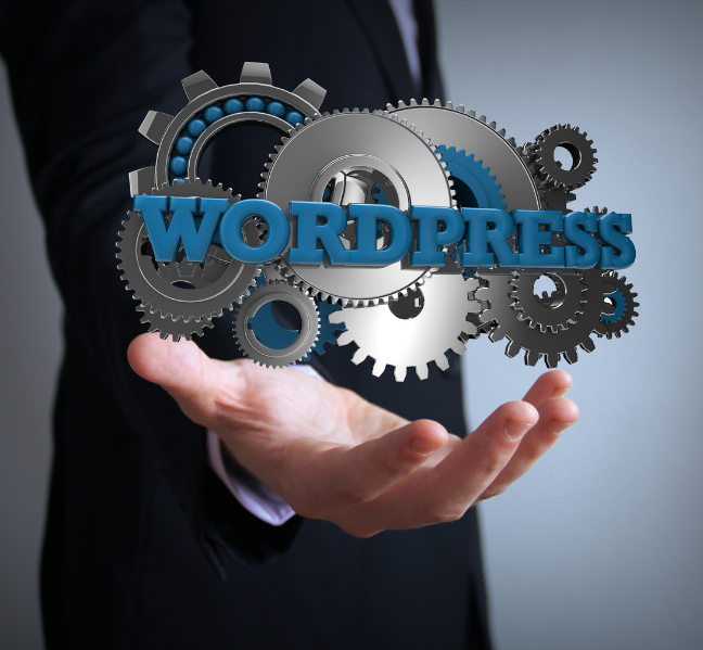 Primal Web Solutions Web Design