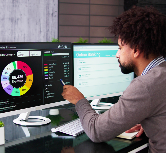 Primal Web Solutions Analytics