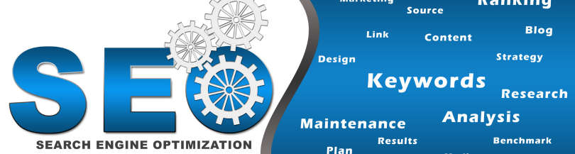 Primal Web Solutions SEO